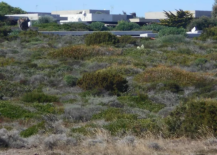 Le Punta Negra Сasa de vacaciones *